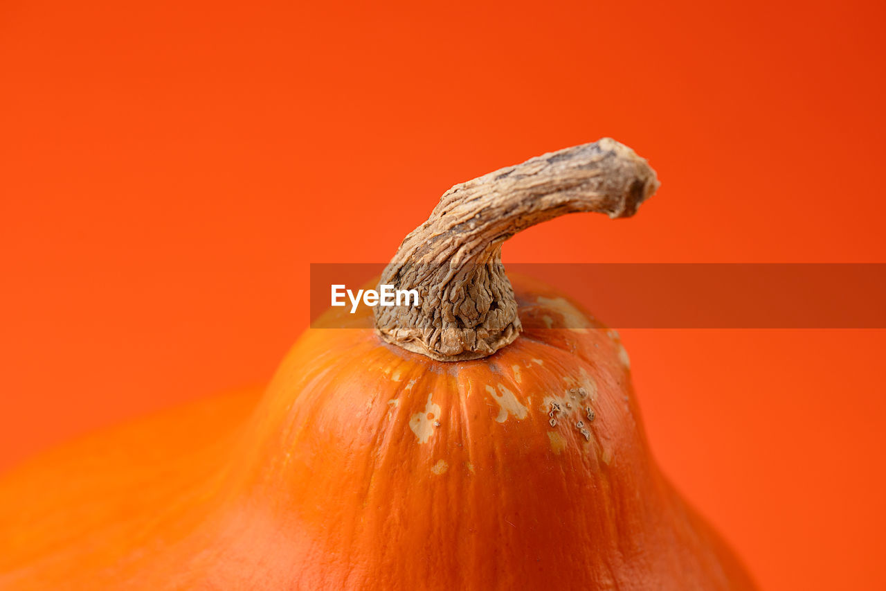 Close-up of pumpkin against orange background