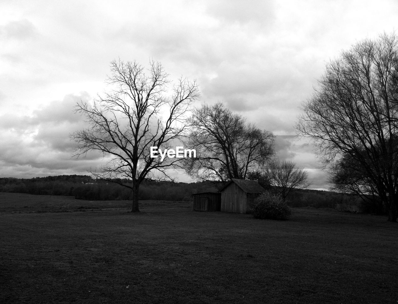 BARE TREES ON LANDSCAPE AGAINST CLOUDY SKY