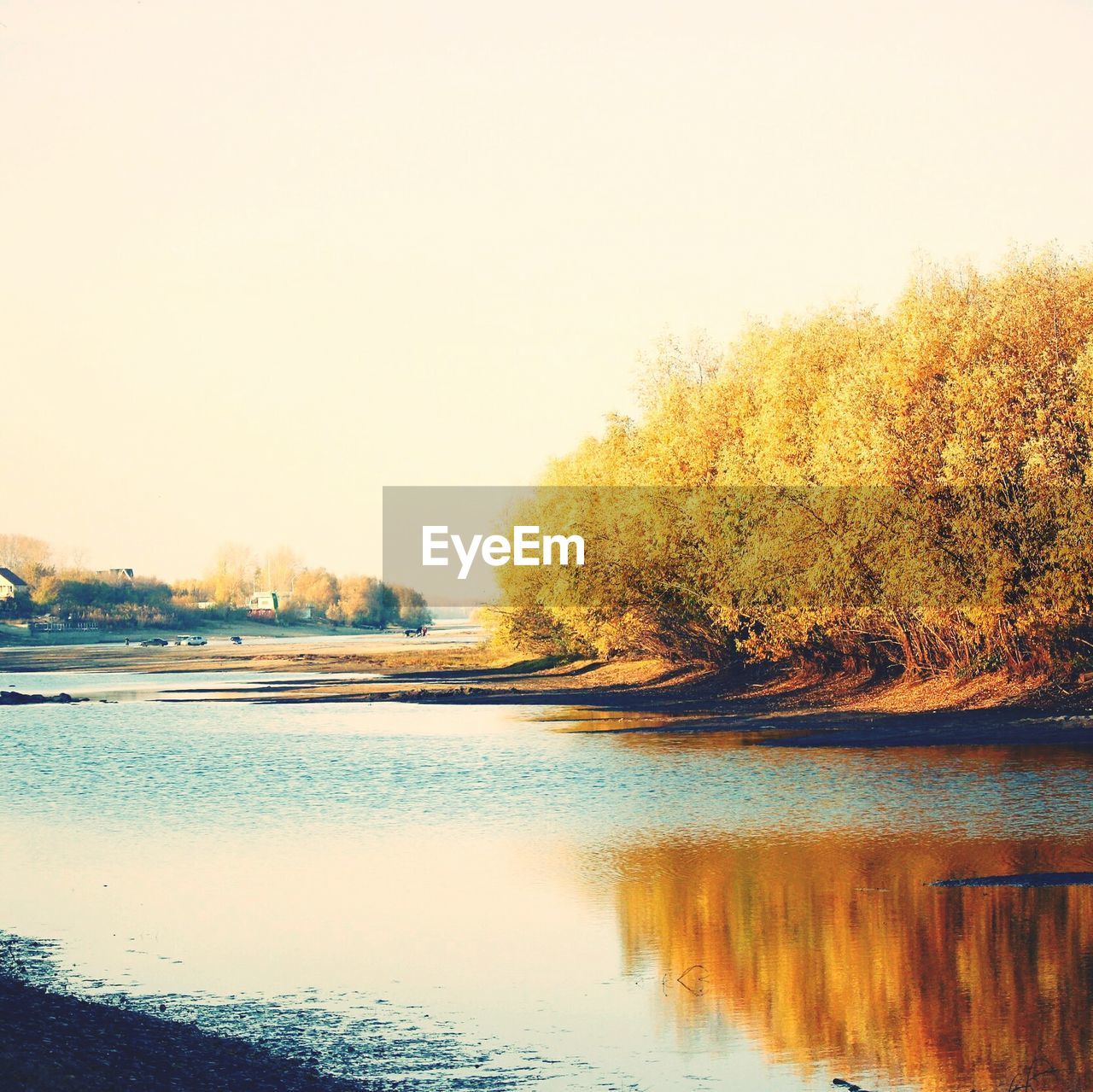 Scenic view of river by trees against clear sky