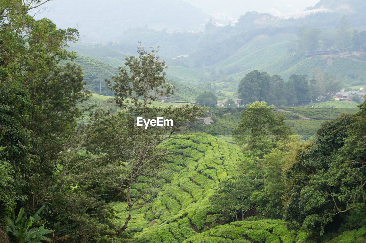 High angle view of landscape