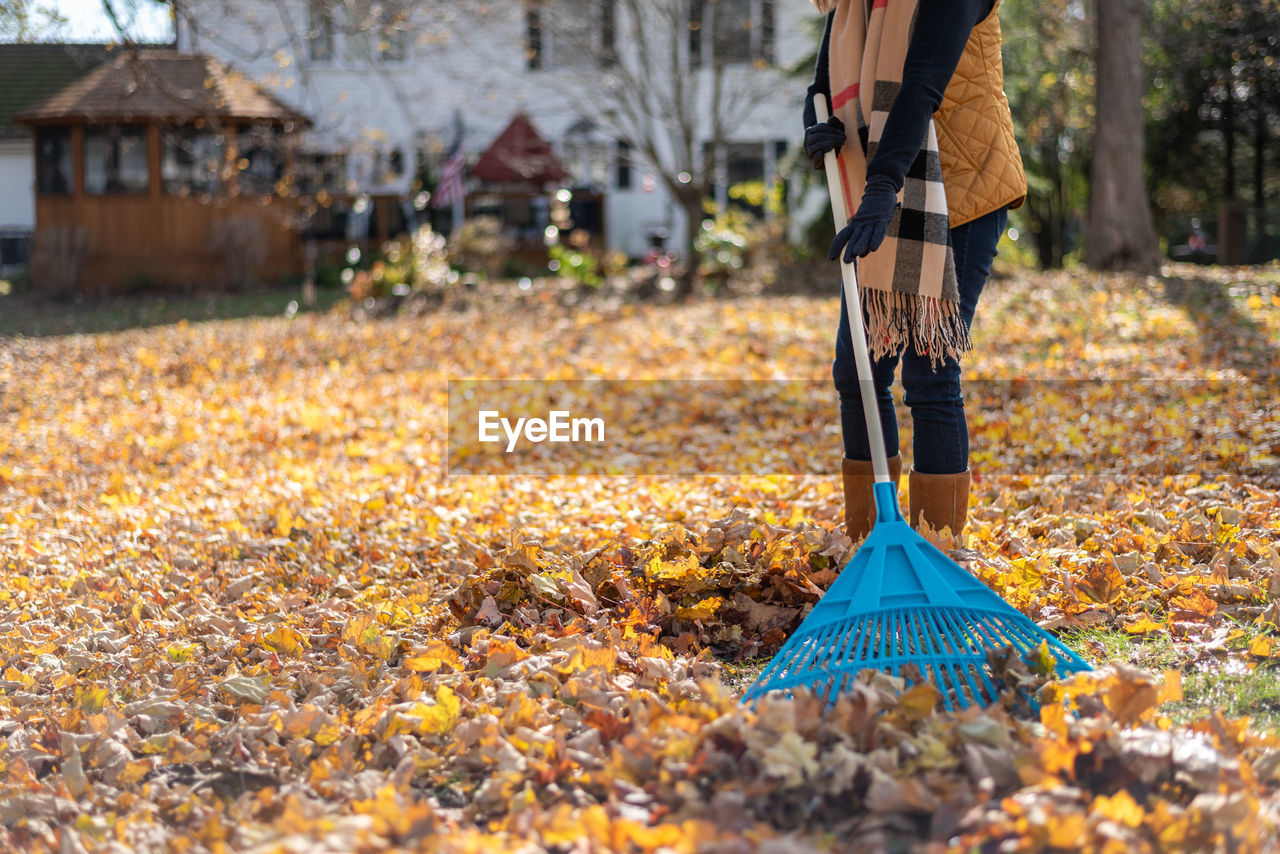 LOW SECTION OF PERSON STANDING ON FIELD BY AUTUMN