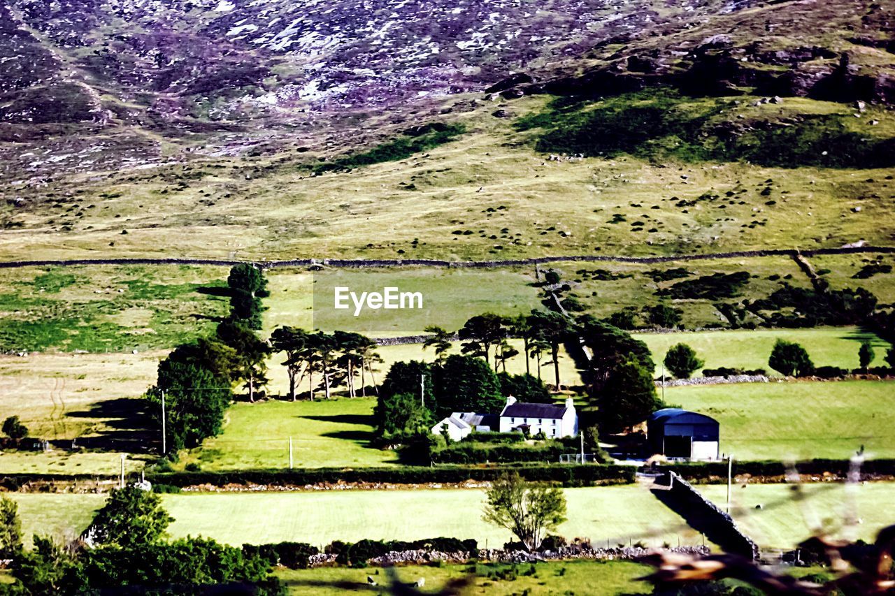 SCENIC VIEW OF LAND AND TREES