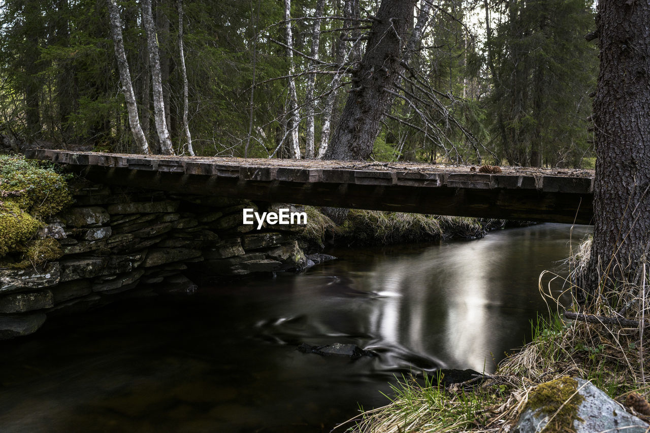 Bridge over river in forest