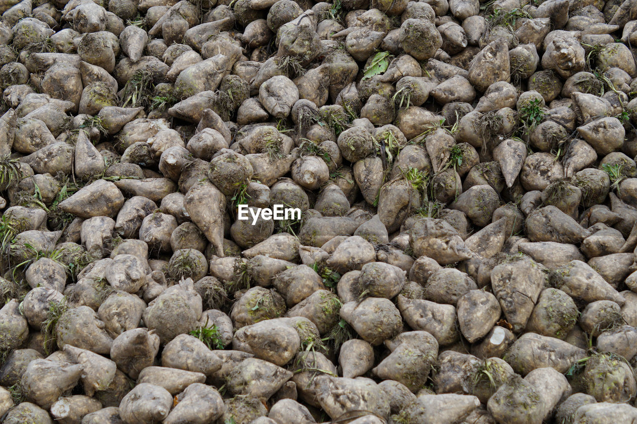 FULL FRAME SHOT OF ROASTED COFFEE BEANS