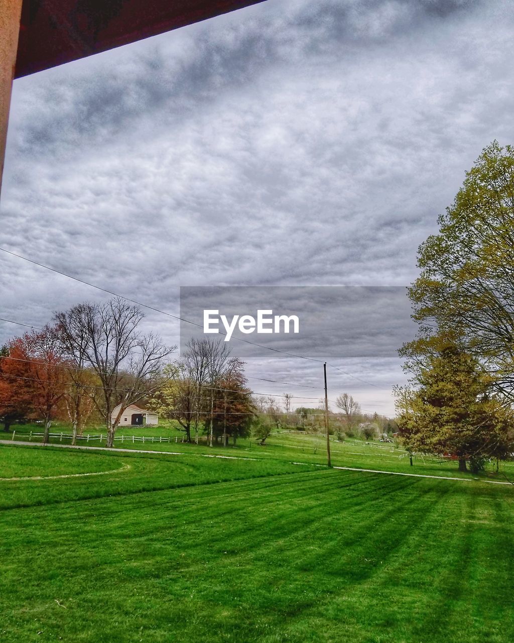 FIELD AGAINST SKY