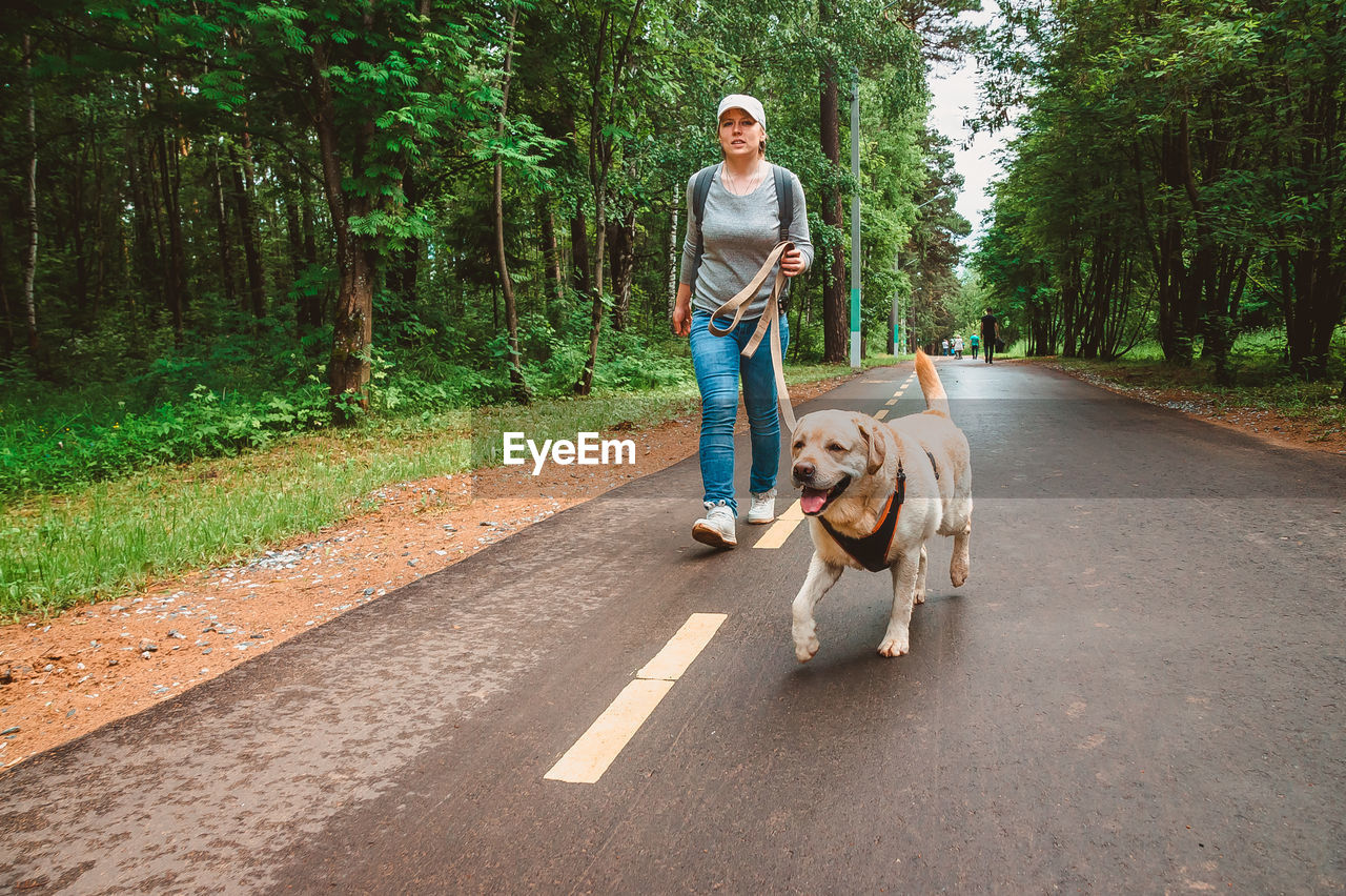 A girl with a dog runs in the park for a walk. sports with a labrador in nature