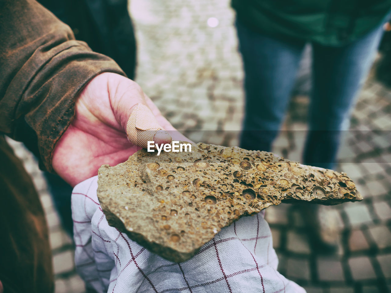 Close-up of man holding fossil outdoors