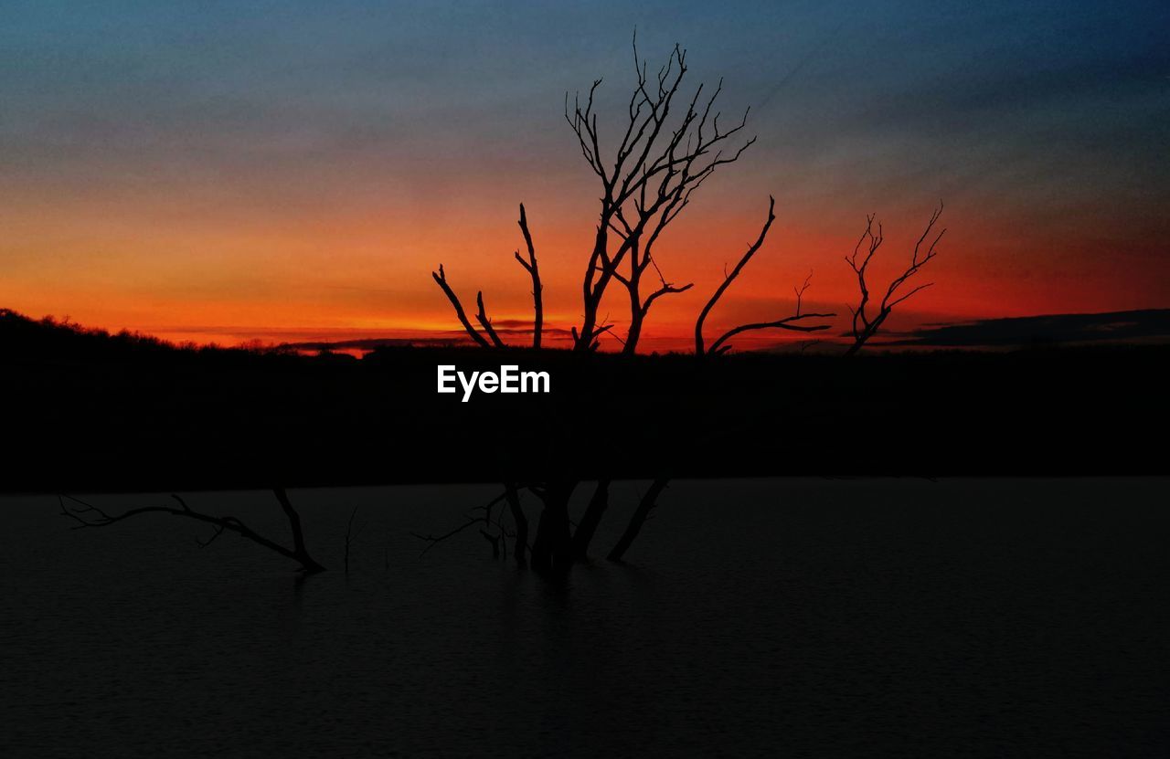 SILHOUETTE BARE TREE ON LAKE AGAINST ORANGE SKY