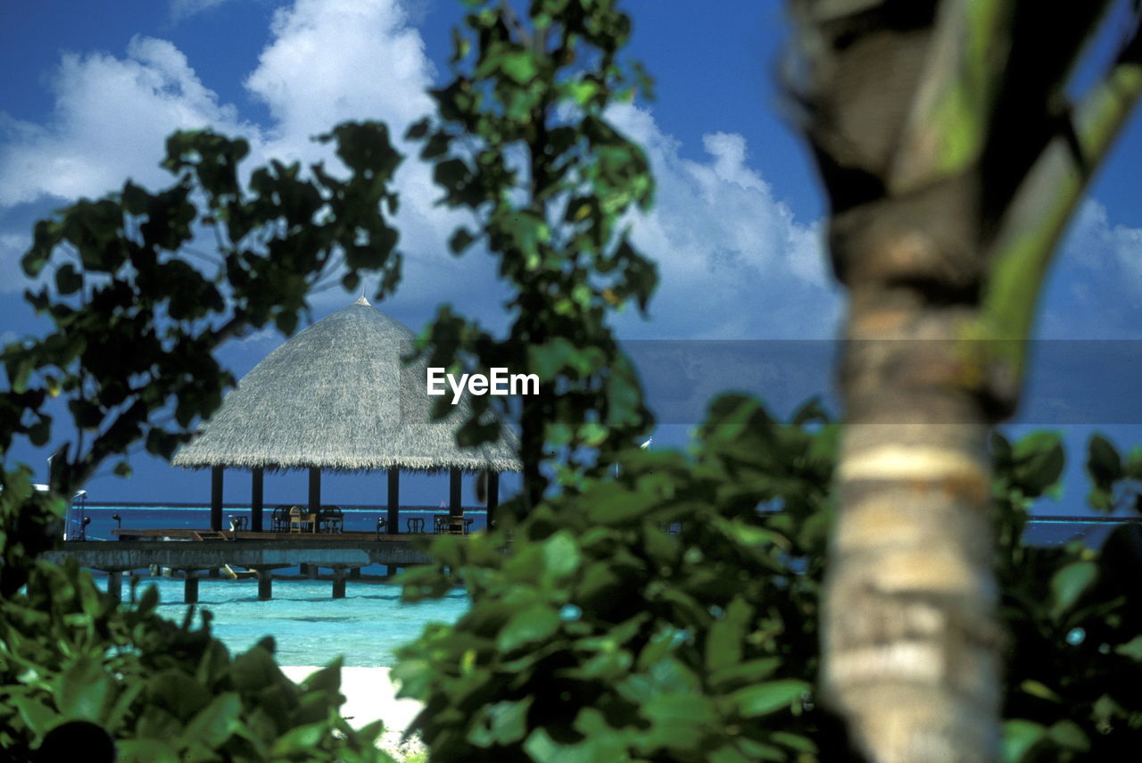 Thatched roof gazebo at beach seen through plants on sunny day