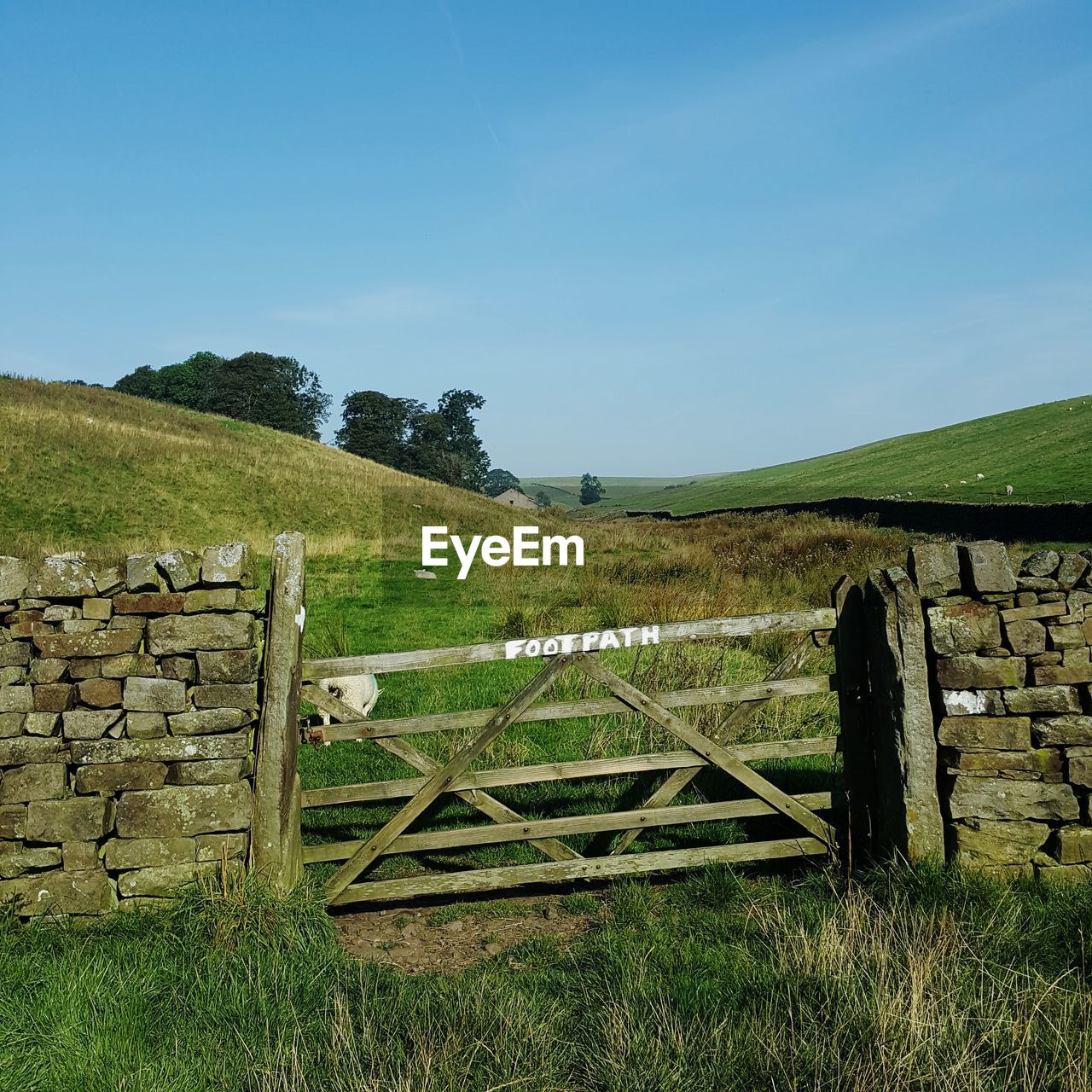 Footpath and wooden field gate.