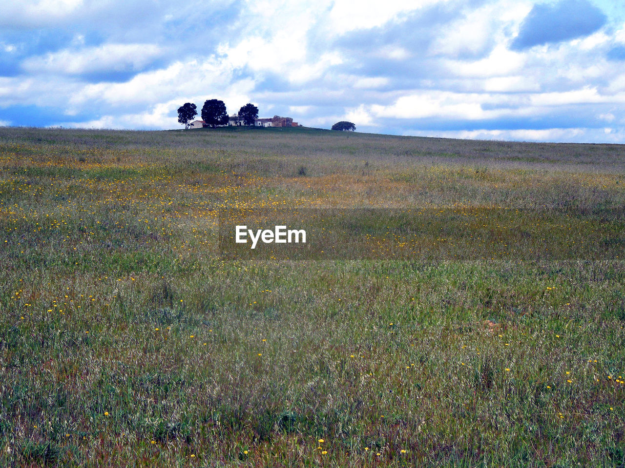 SCENIC VIEW OF LANDSCAPE AGAINST CLOUDY SKY