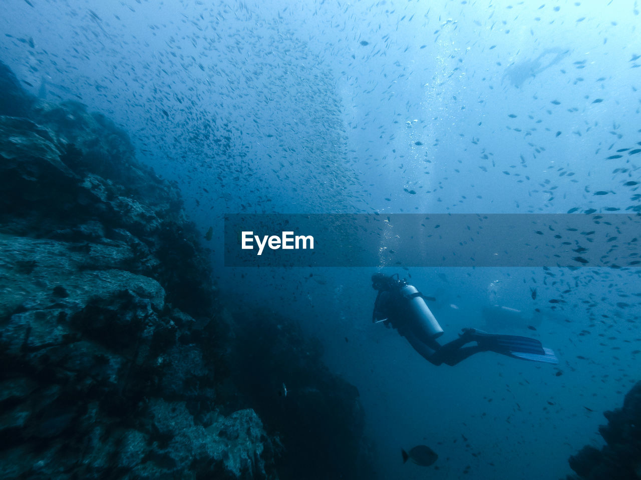 MAN SWIMMING UNDERWATER