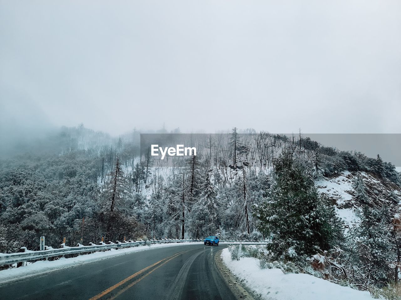 Road amidst trees against sky during winter