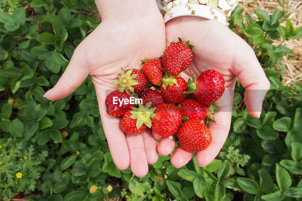 Woman holding handful of strawberries