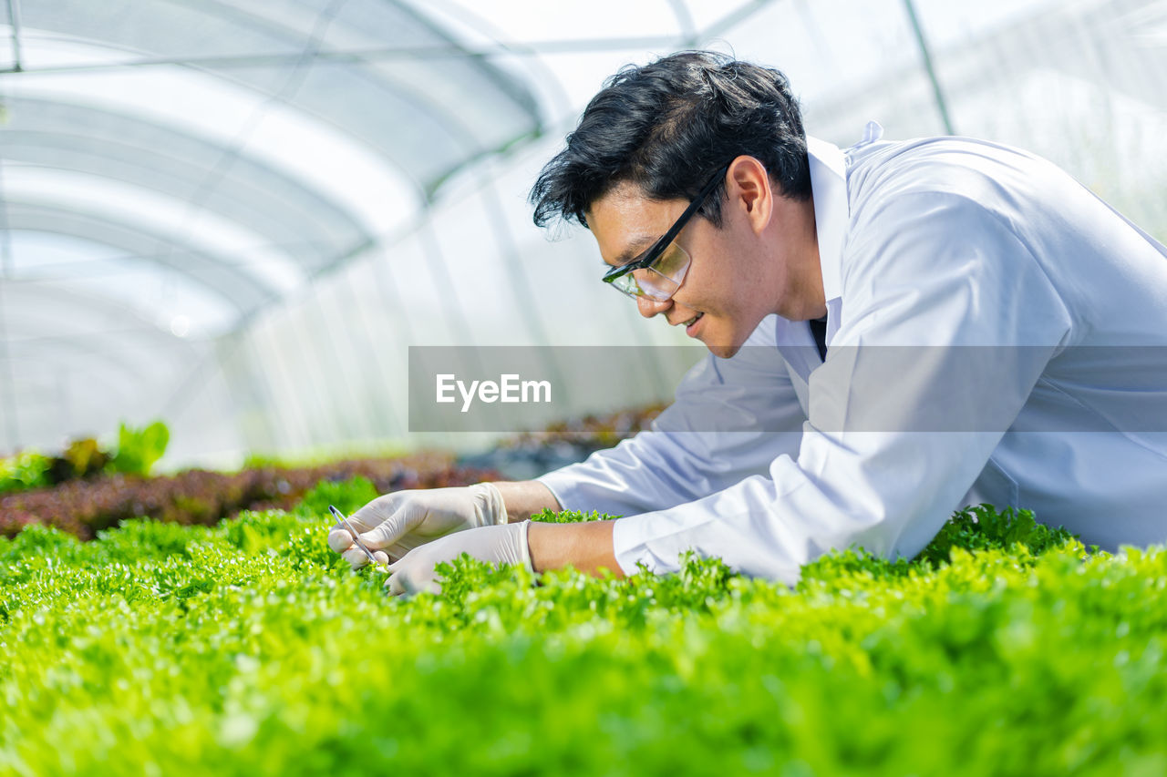 Young botanist working in greenhouse