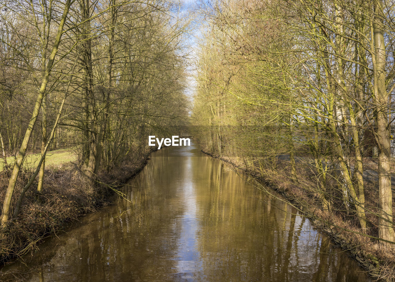 River amidst trees in forest, bremen, germany 