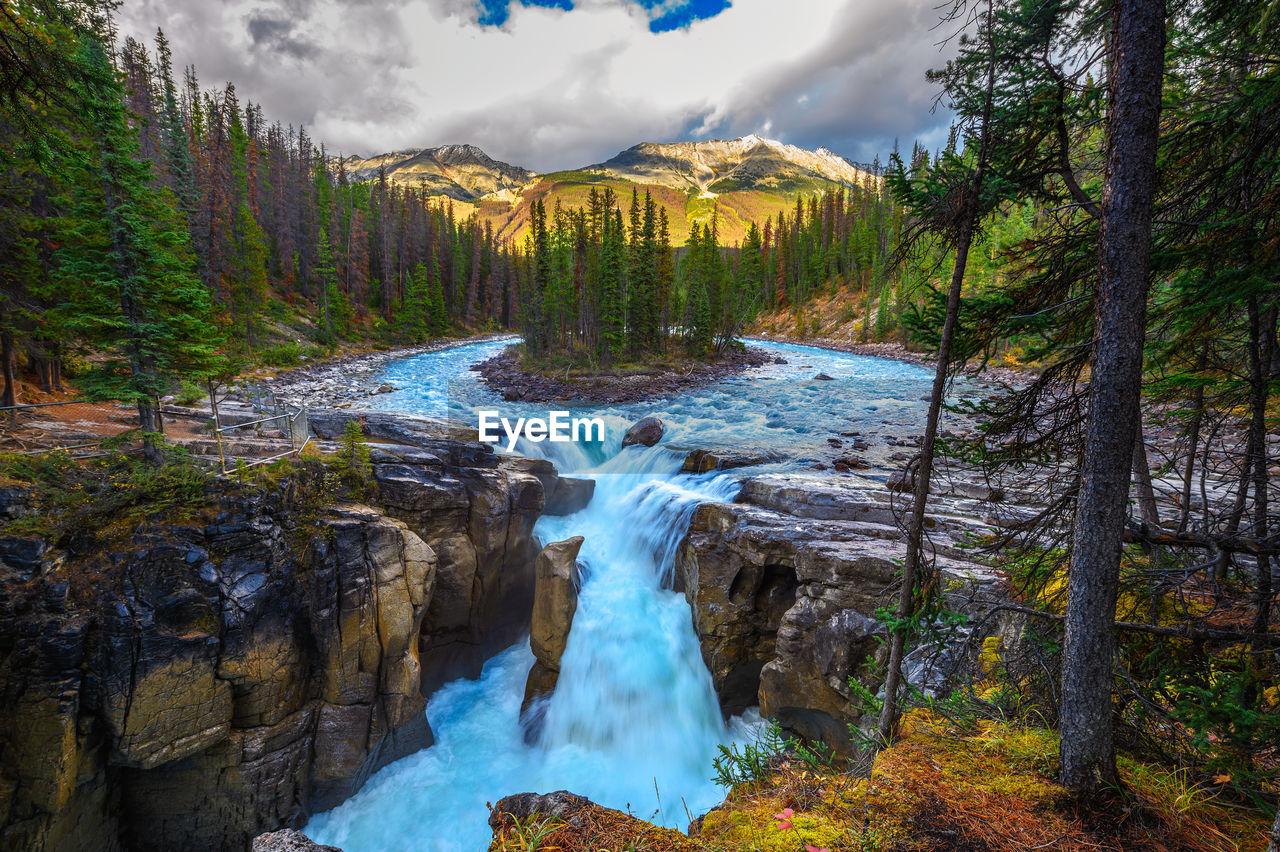 scenic view of waterfall in forest against sky