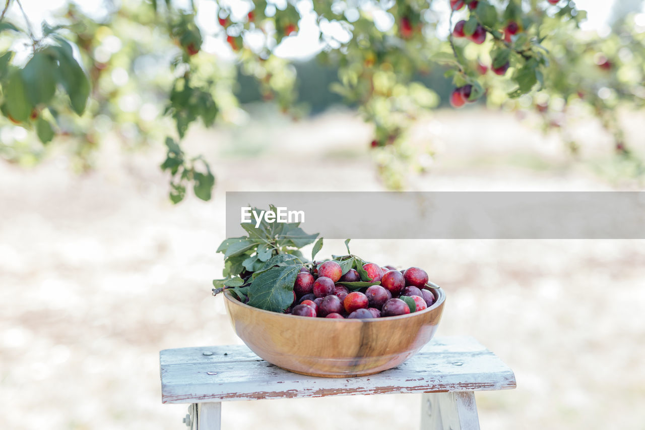 Fruits in  a basket at farm