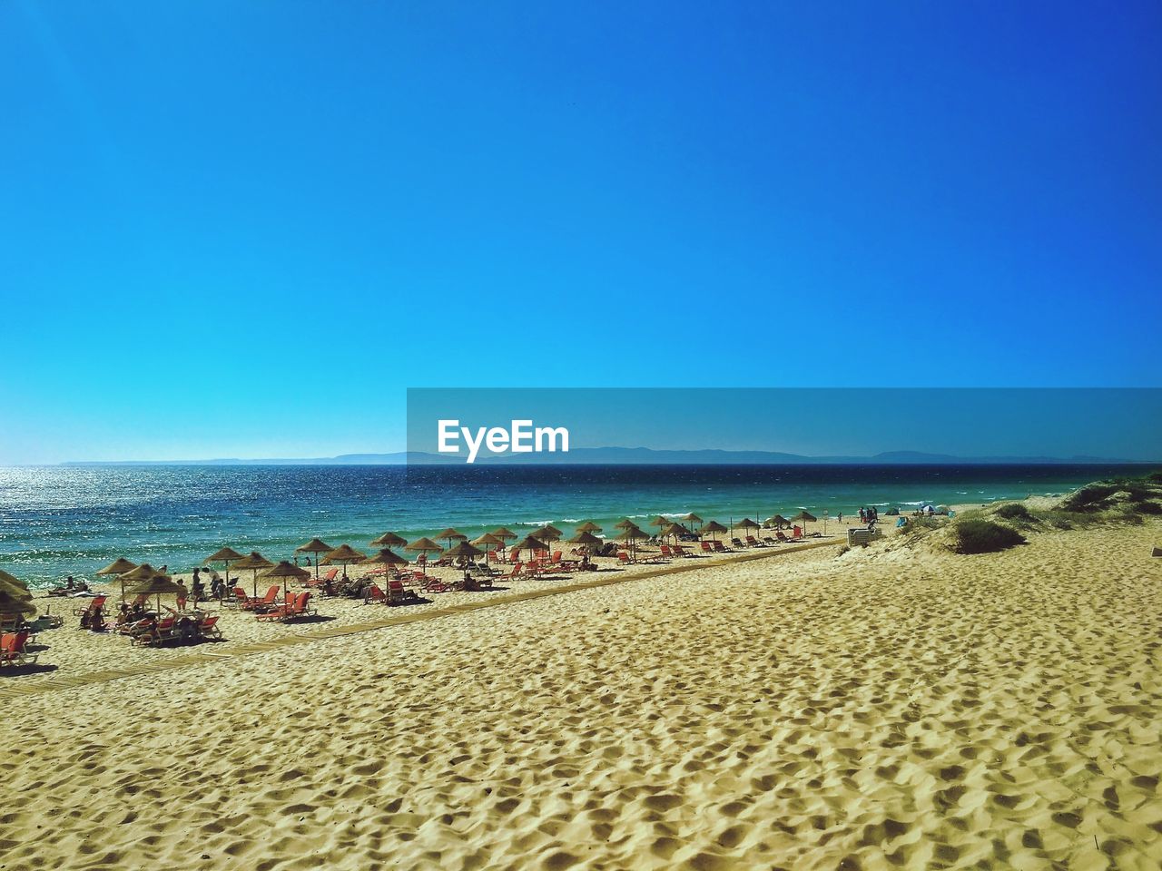 SCENIC VIEW OF BEACH AGAINST CLEAR SKY