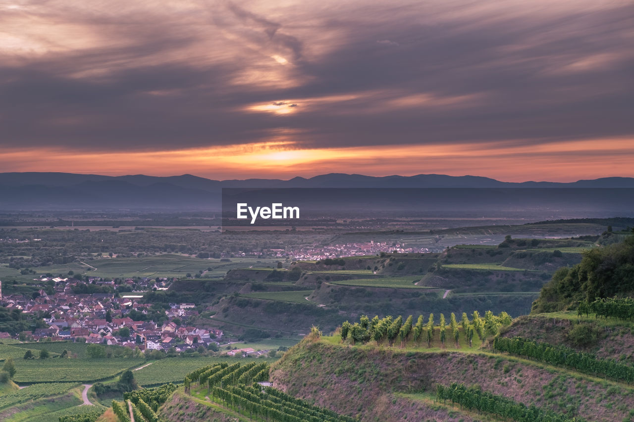 Scenic view of field against sky during sunset