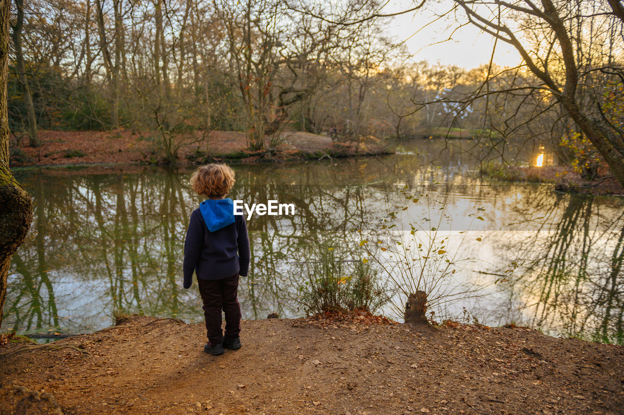 Boy watching flock of birds during sunset in the forest at the lake