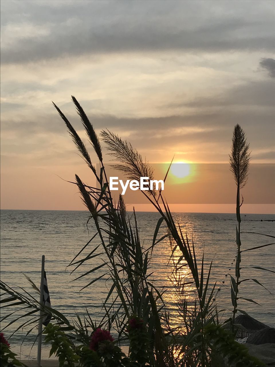 SCENIC VIEW OF SEA DURING SUNSET