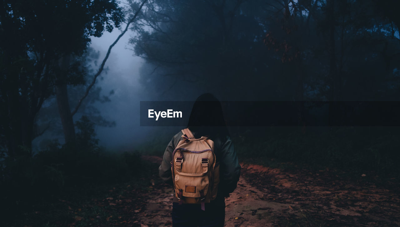 Rear view of woman standing against trees in forest