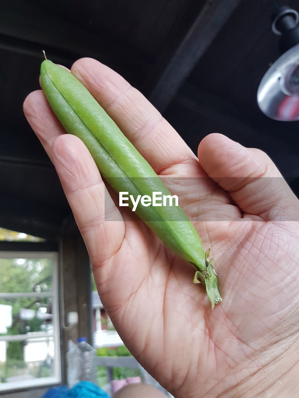 Cropped hand holding green pea