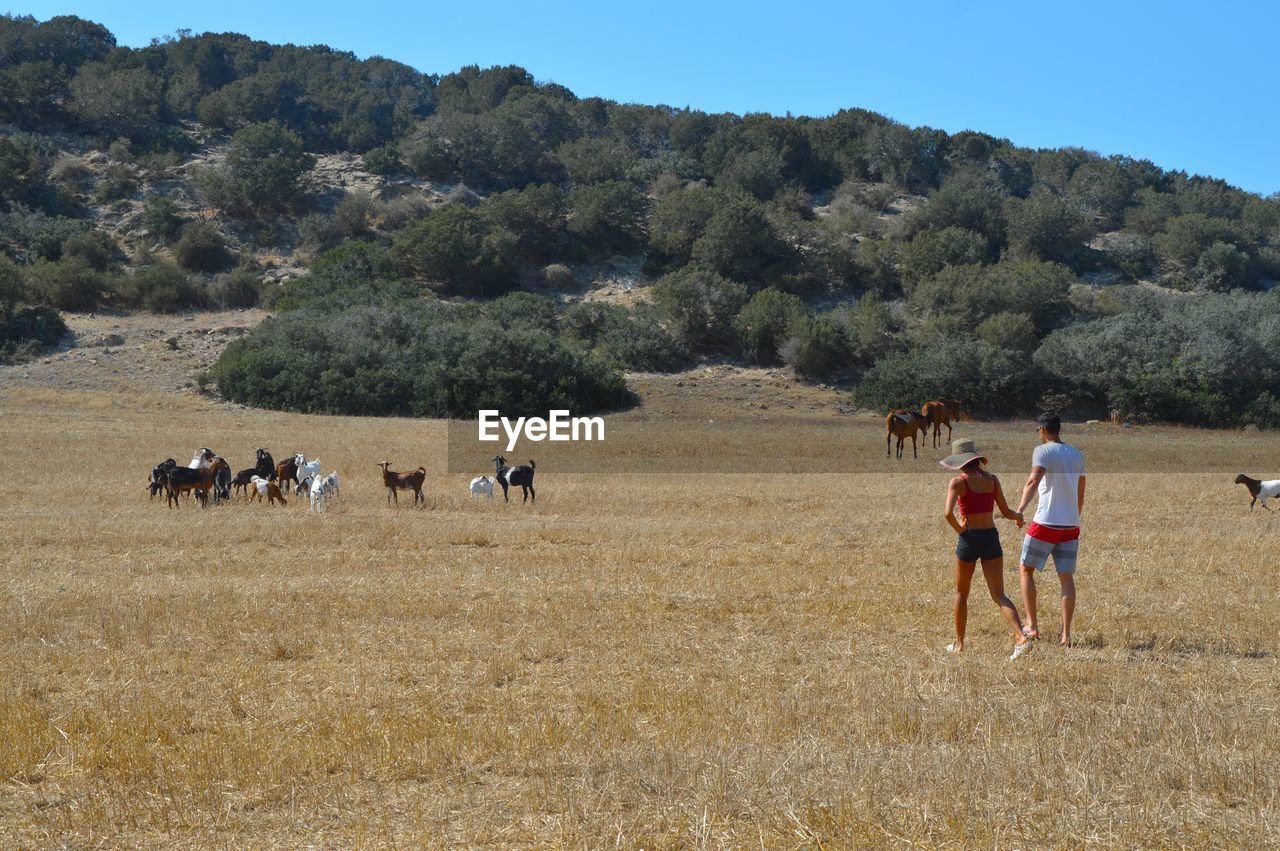 WOMAN LOOKING AT LANDSCAPE