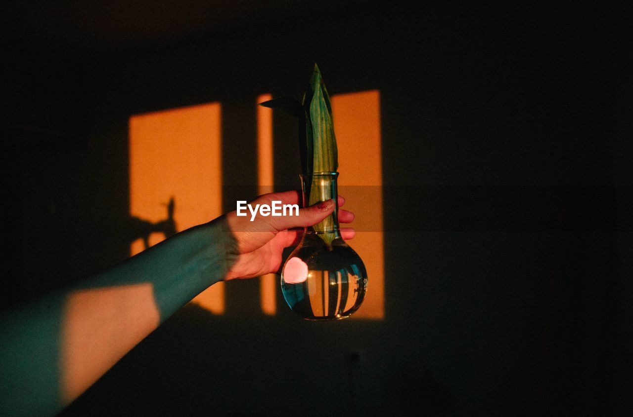 Cropped hand of woman holding leaf in glass vase against wall at home during sunset