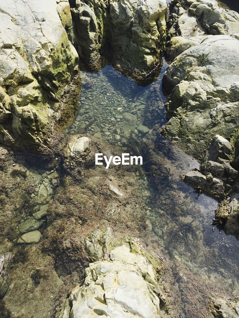 High angle view of rocks in stream