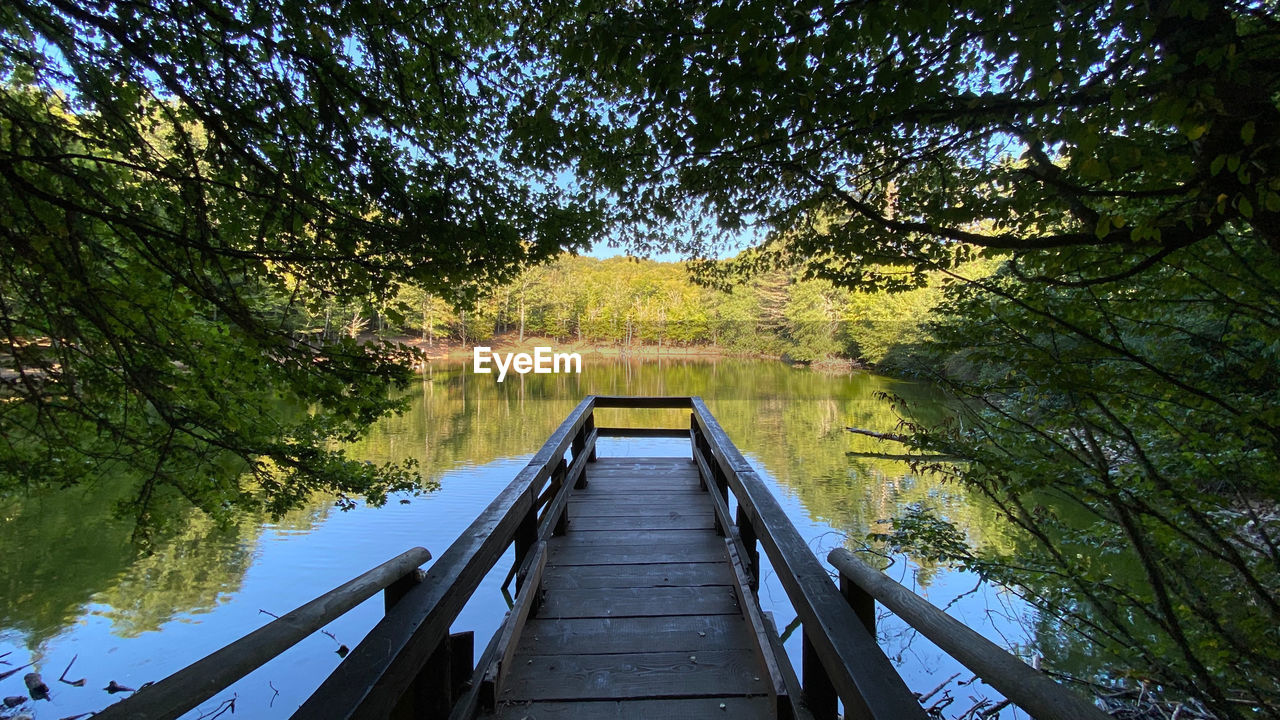 Footbridge over lake in forest