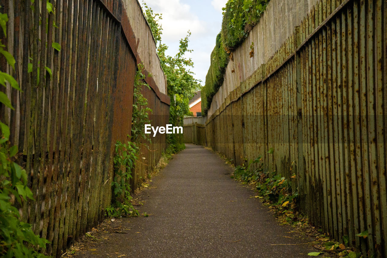 Footpath lined by fence