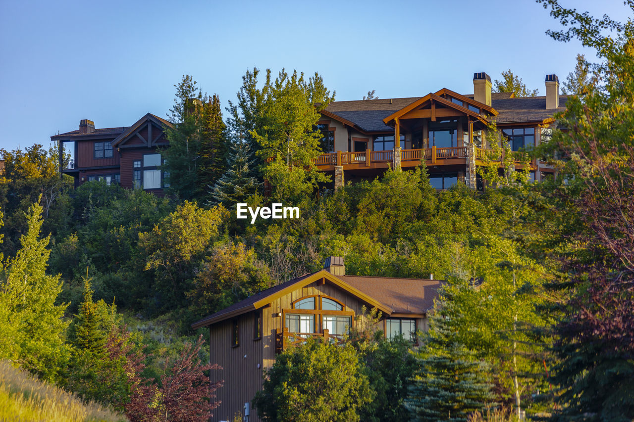 HOUSES BY TREES AGAINST SKY