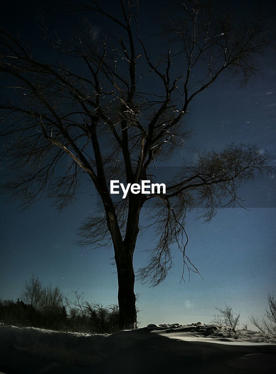 BARE TREES ON LANDSCAPE AGAINST SKY