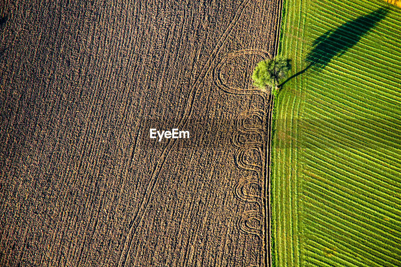 Full frame shot of agricultural field