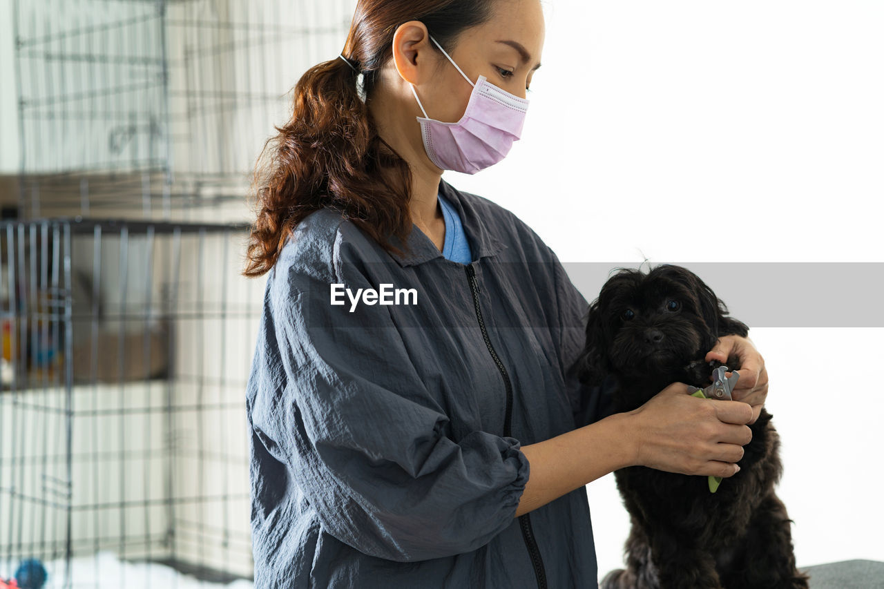 Woman grooming black dog at home