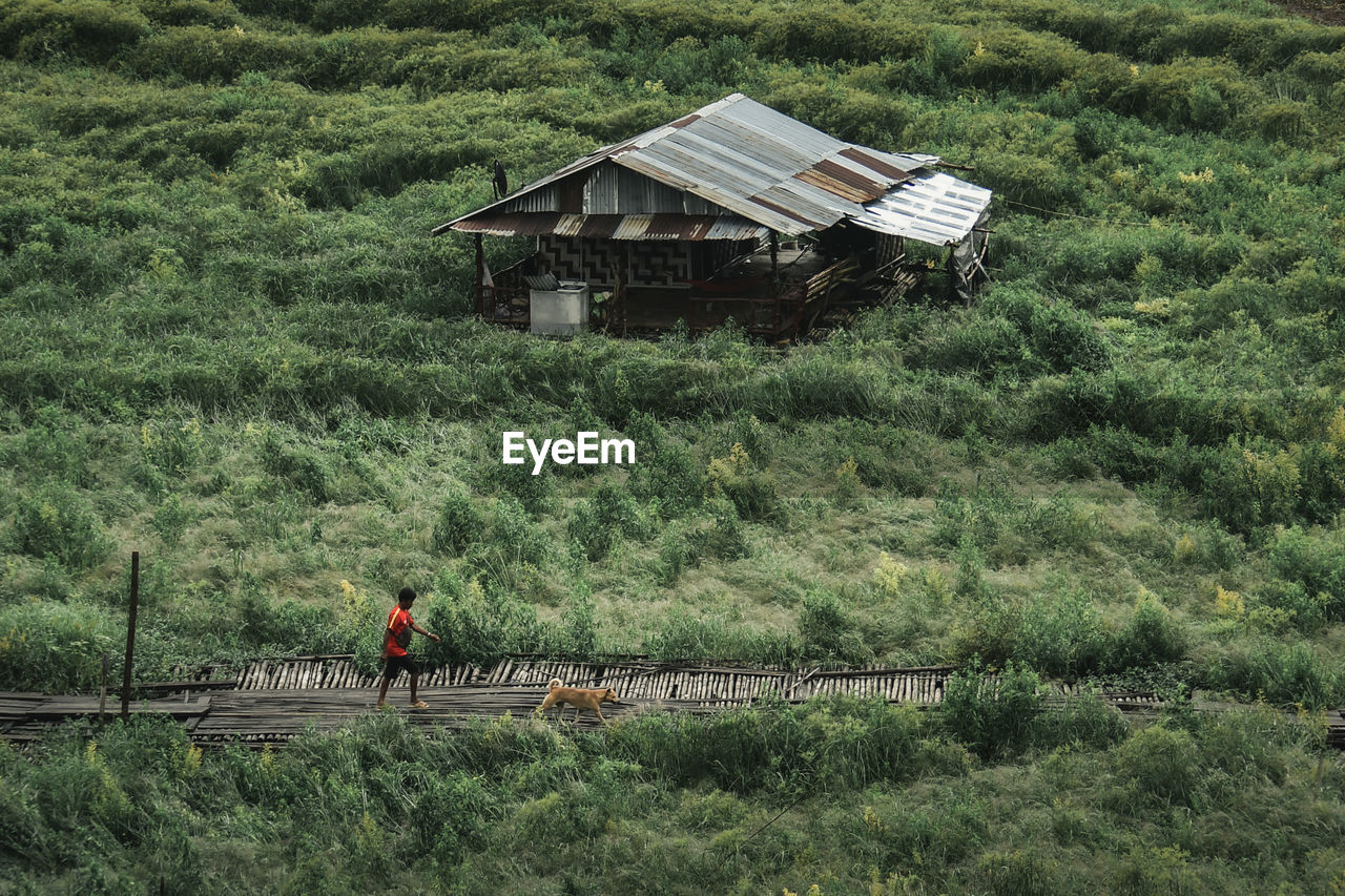 PEOPLE ON STREET AMIDST TREES