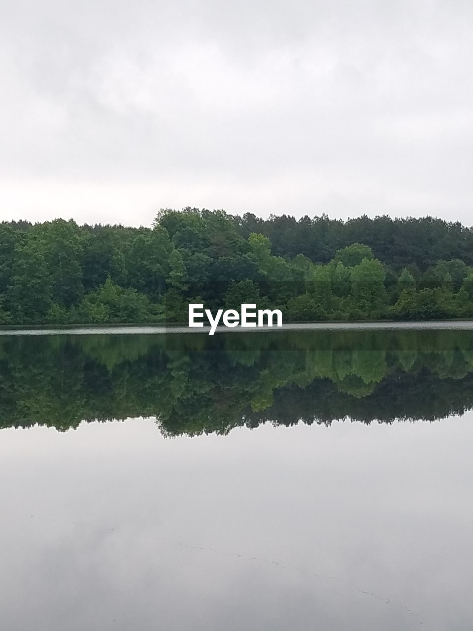 SCENIC VIEW OF LAKE BY TREES AGAINST SKY