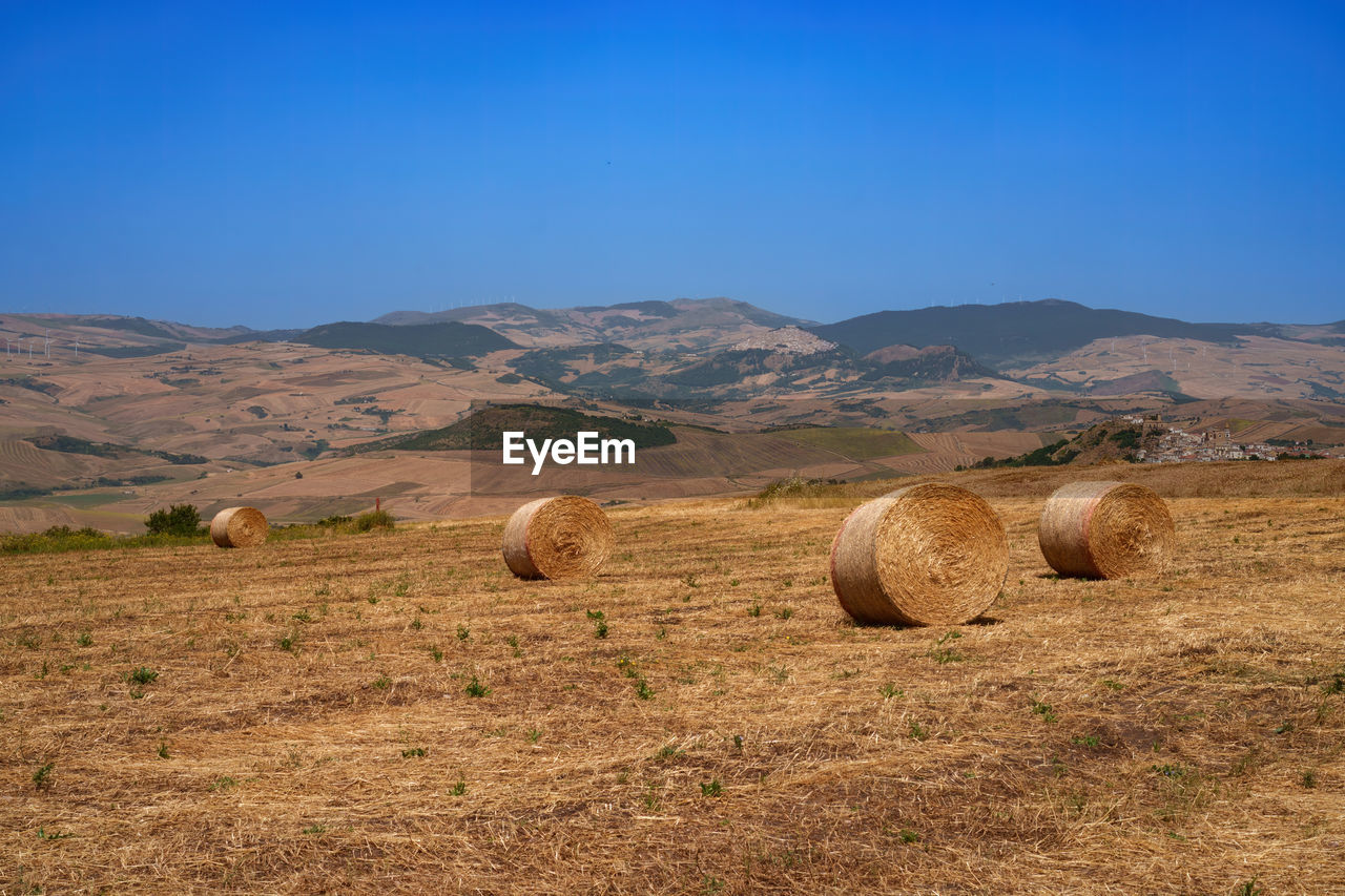 bale, hay, landscape, environment, agriculture, land, sky, field, rural scene, nature, scenics - nature, farm, straw, harvesting, hill, plant, soil, rolled up, blue, beauty in nature, rural area, tranquility, no people, plain, tranquil scene, circle, plateau, geometric shape, clear sky, grassland, grass, haystack, shape, prairie, crop, sunlight, outdoors, day, non-urban scene, dry, sunny, natural environment, idyllic, steppe, pasture, summer, brown, food and drink, copy space, cereal plant