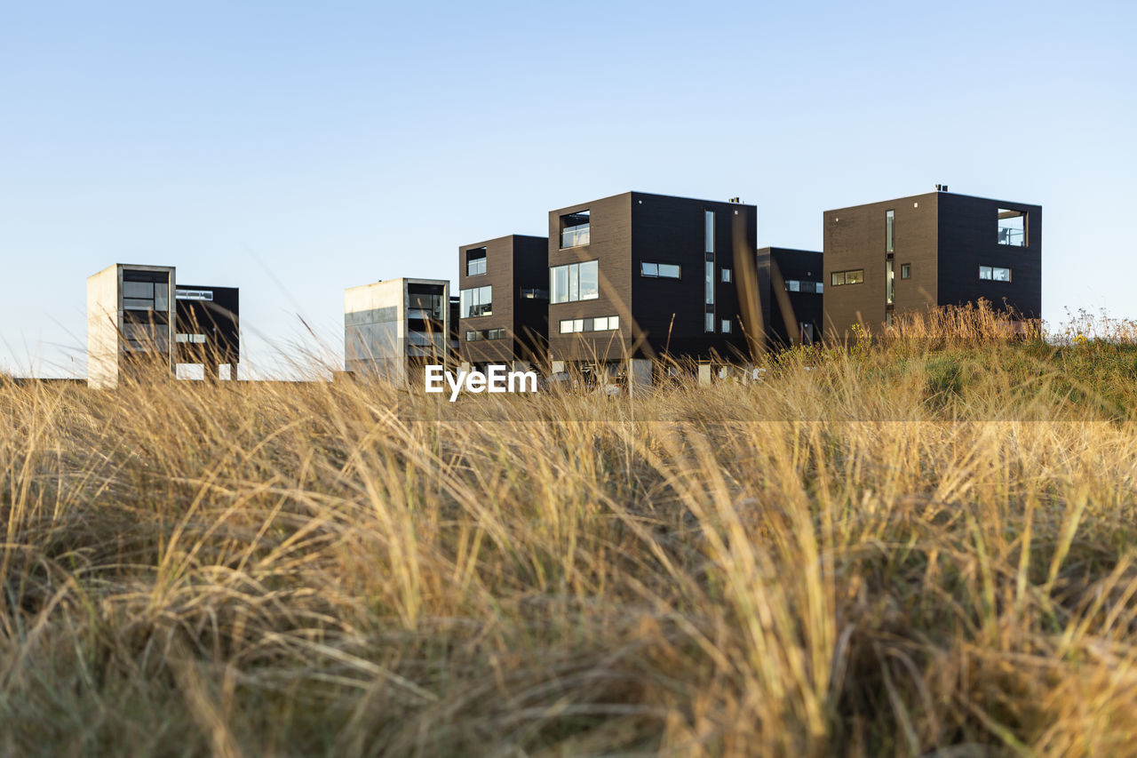 Denmark, romo, grass in front of modern summer houses