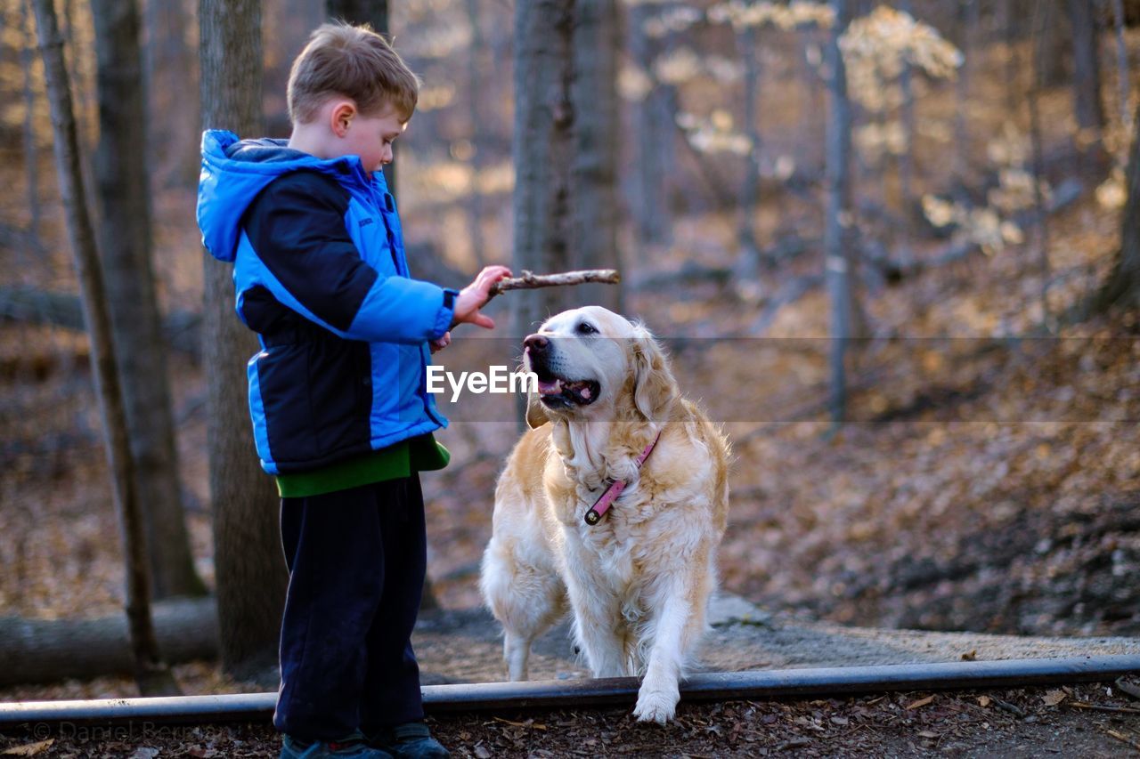 Side view of boy with golden retriever in forest