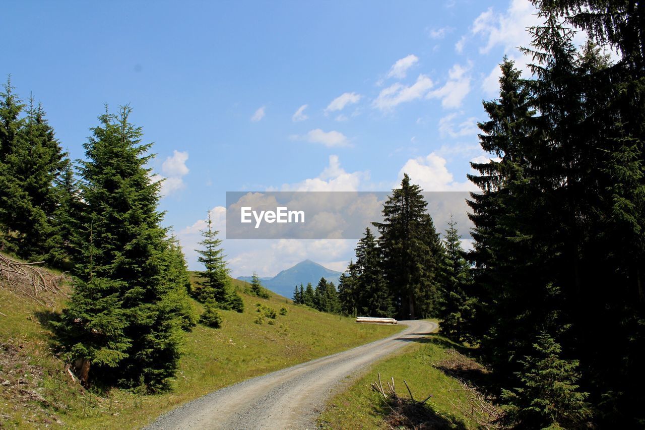 Empty road amidst trees against sky