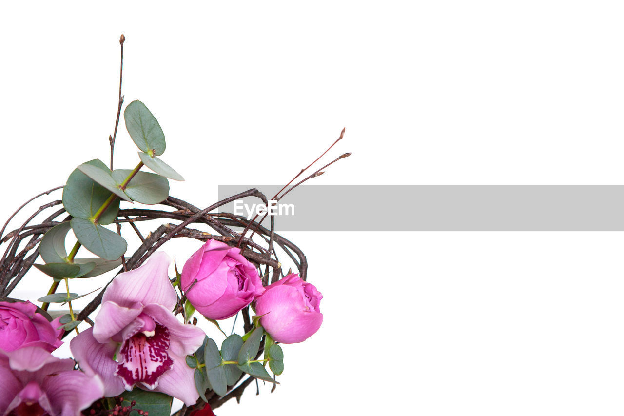 Creative flower bouquet isolated on white background. mockup with copy space for greeting card