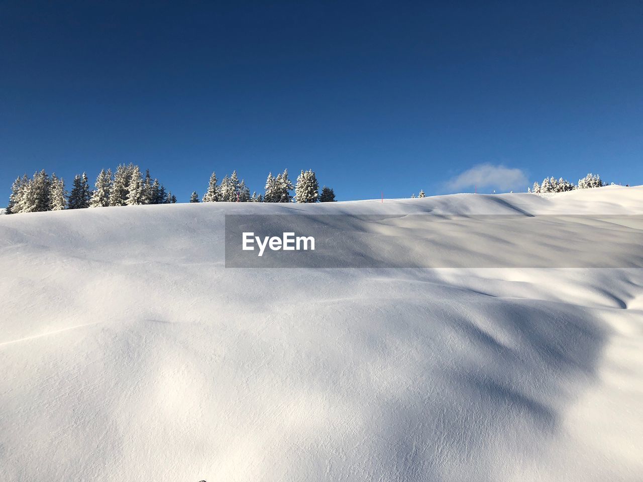 LOW ANGLE VIEW OF SNOW COVERED LANDSCAPE