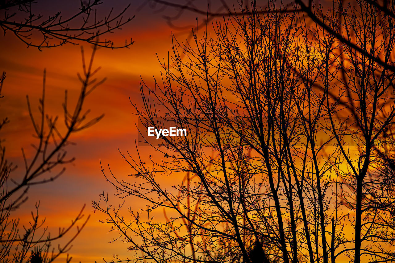 Low angle view of bare trees against orange cloudy sky