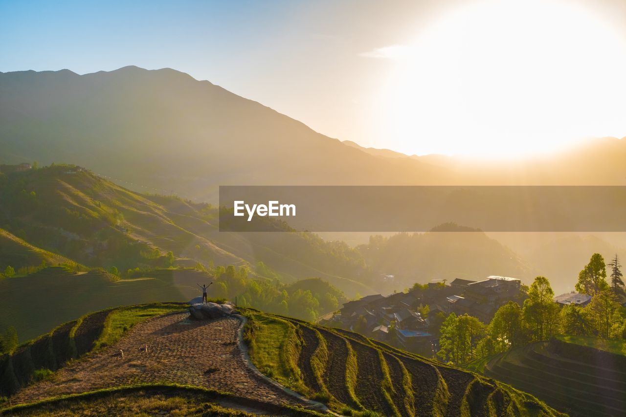 Scenic view of agricultural field against bright sun