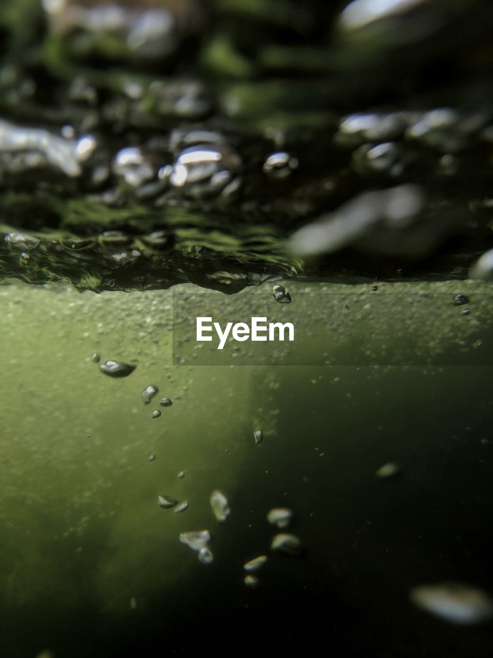 FULL FRAME SHOT OF WET LEAF IN LAKE