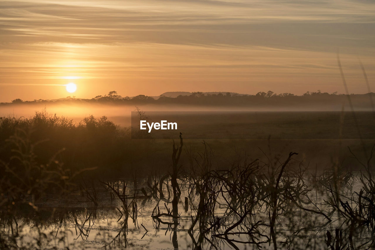 SCENIC VIEW OF LANDSCAPE DURING SUNSET