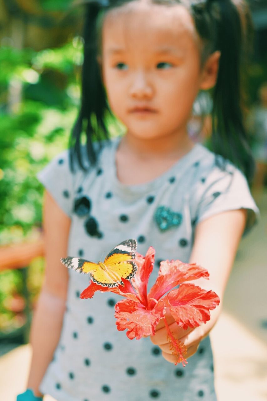 Girl holding red hibiscus with butterfly at park
